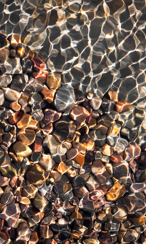 Fondo de pantalla Pebbles And Water Reflections 480x800