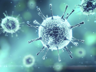 Coronavirus COVID 19 and Bacterium screenshot #1 320x240