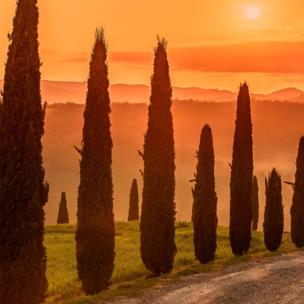 Screenshot №1 pro téma Tuscany Valley Autumn 1024x1024
