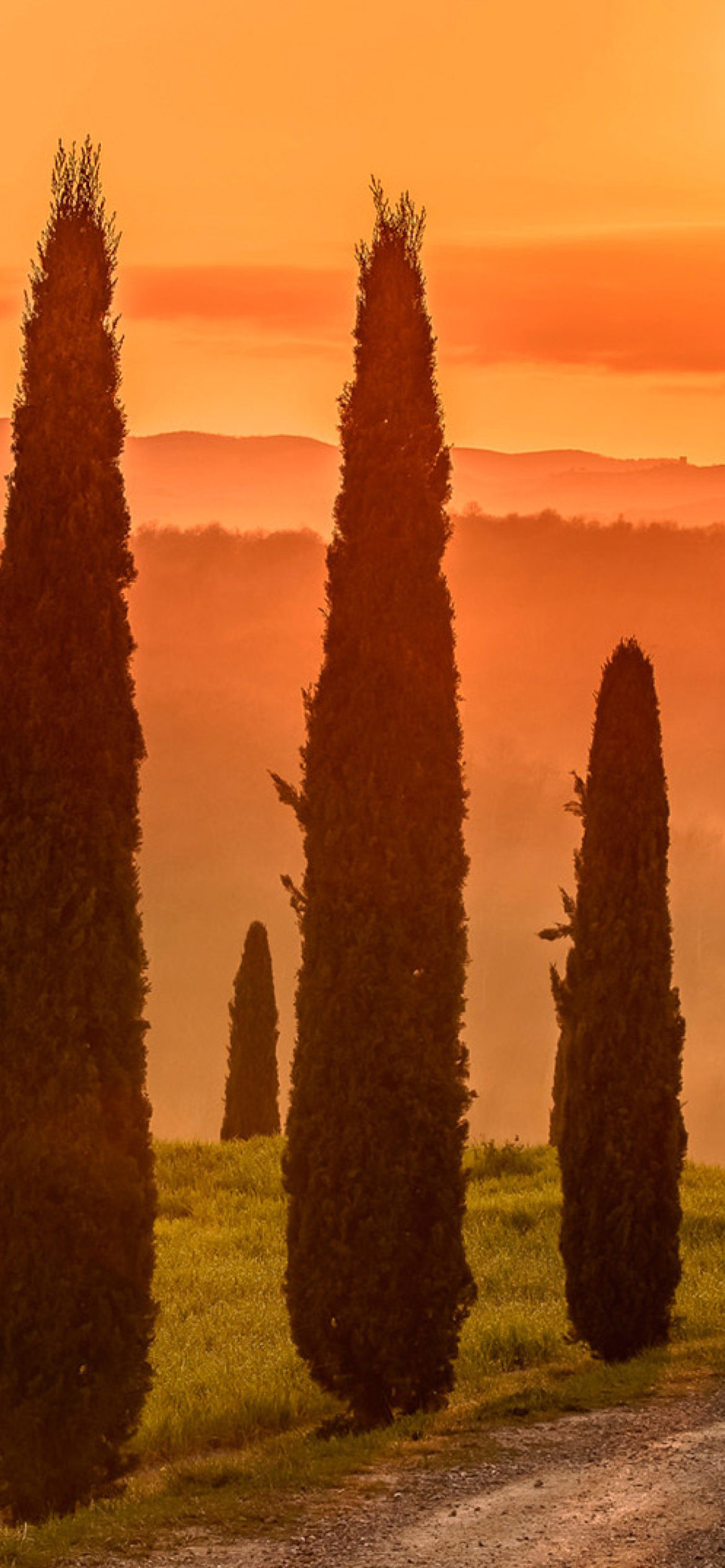 Das Tuscany Valley Autumn Wallpaper 1170x2532