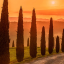 Fondo de pantalla Tuscany Valley Autumn 128x128