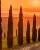 Das Tuscany Valley Autumn Wallpaper 128x160