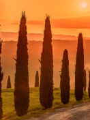 Das Tuscany Valley Autumn Wallpaper 132x176