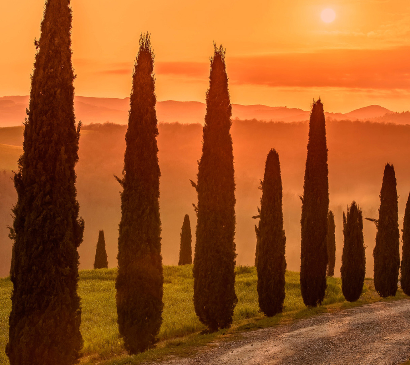 Fondo de pantalla Tuscany Valley Autumn 1440x1280