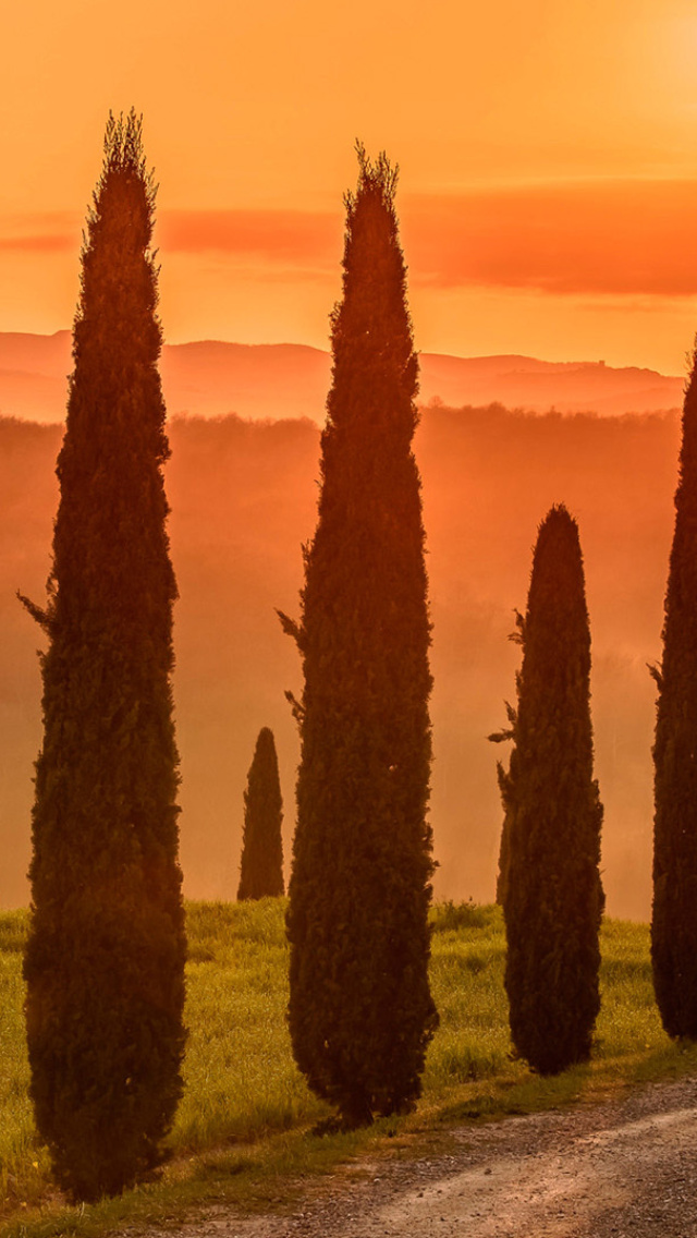Обои Tuscany Valley Autumn 640x1136
