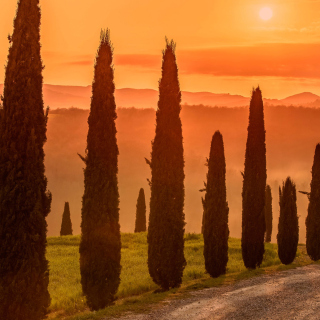 Tuscany Valley Autumn - Fondos de pantalla gratis para iPad