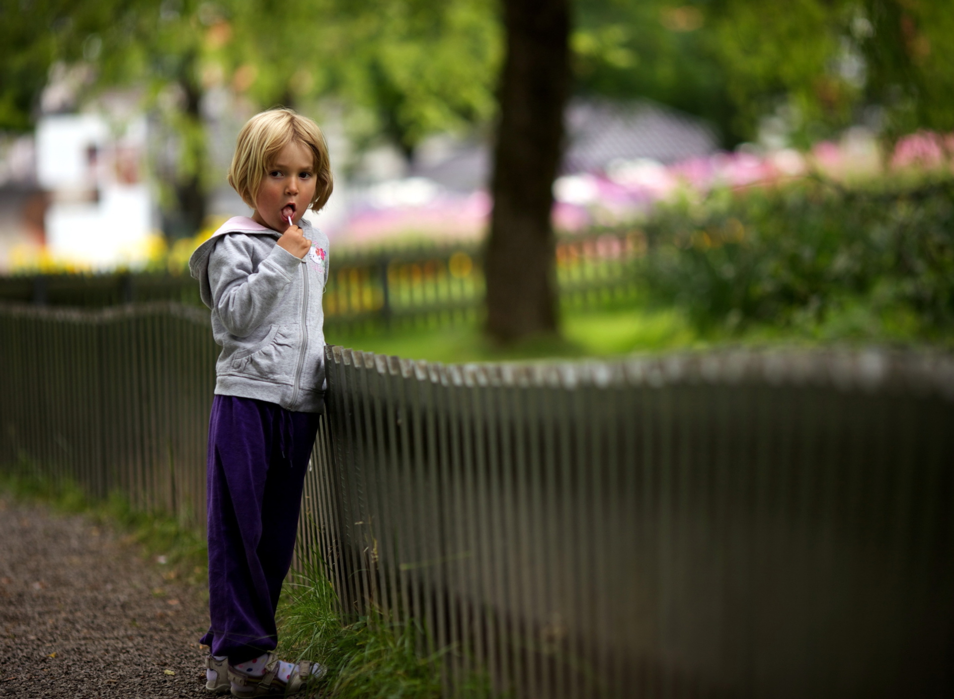 Little Girl With Lolly wallpaper 1920x1408