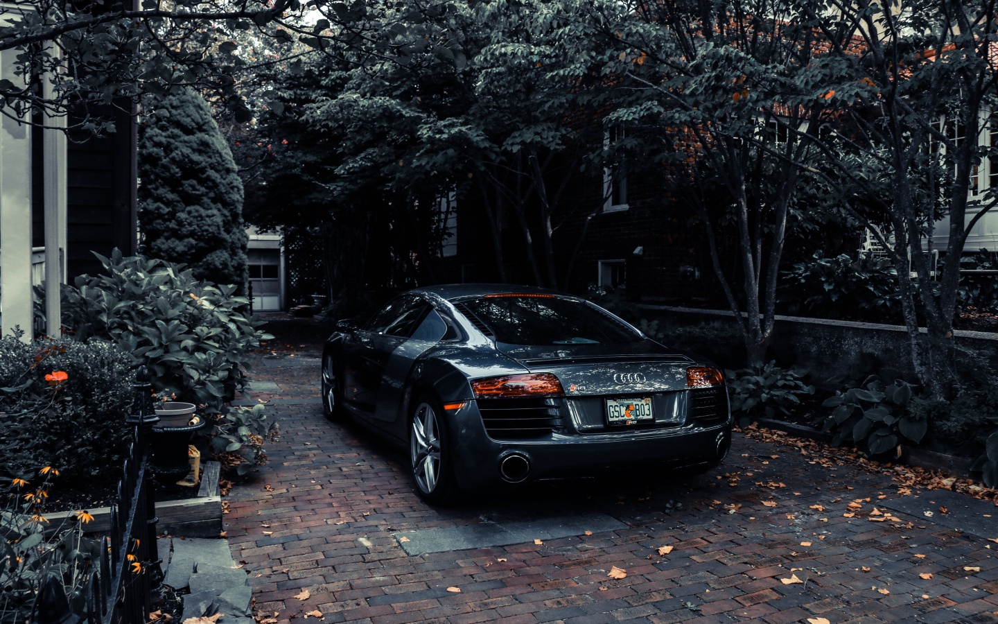 Обои Audi R8 Black V10 1440x900