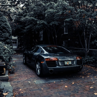 Free Audi R8 Black V10 Picture for iPad 2
