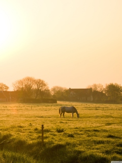 Das Village In The Morning Wallpaper 240x320