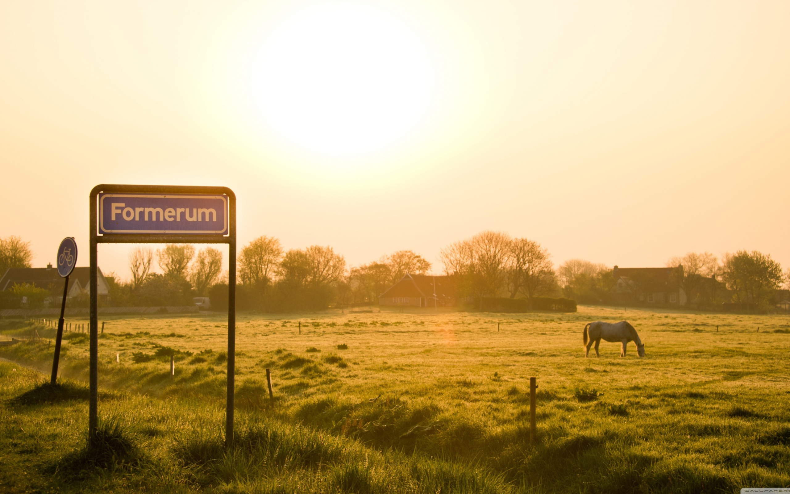 Das Village In The Morning Wallpaper 2560x1600