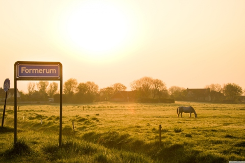 Village In The Morning wallpaper 480x320