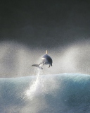 Screenshot №1 pro téma Dolphin Jumping In Water 128x160