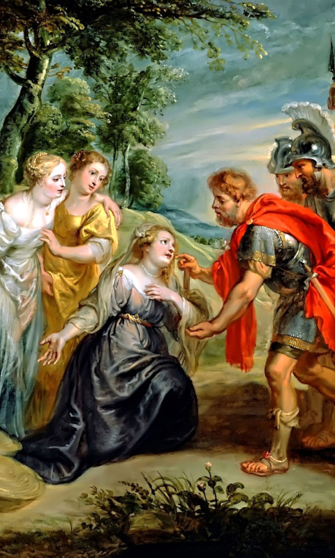 Das Rubens David Meeting Abigail Painting in Getty Museum Wallpaper 480x800