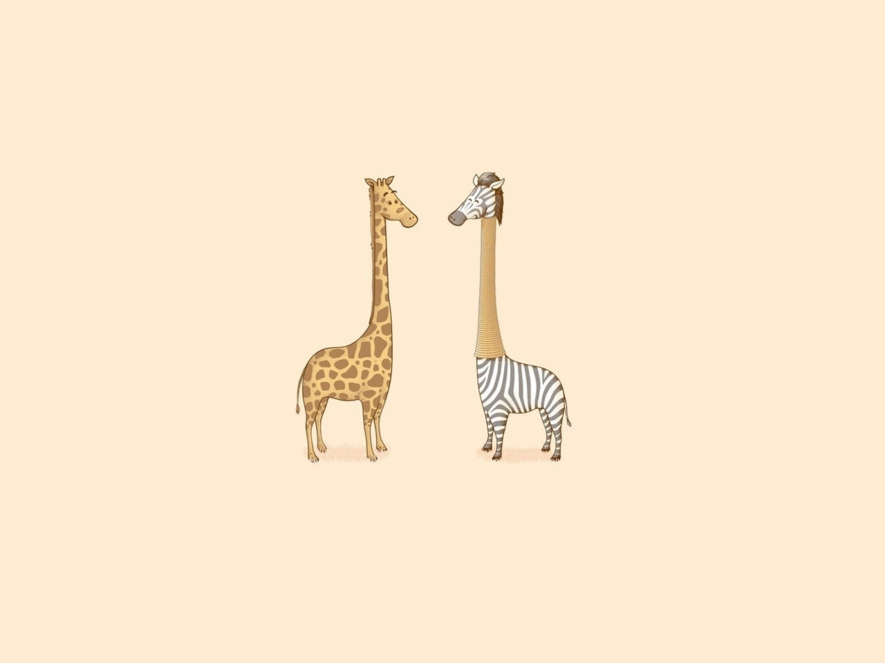 Das Giraffe-Zebra Wallpaper 1280x960