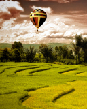 Green Field Landscape wallpaper 128x160