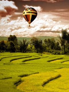 Green Field Landscape wallpaper 240x320