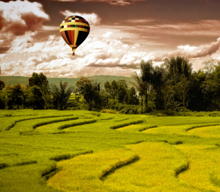 Green Field Landscape - Obrázkek zdarma pro iPad