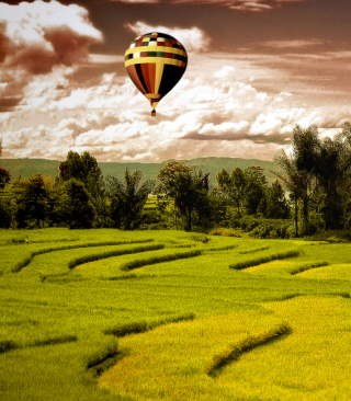 Green Field Landscape - Fondos de pantalla gratis para Nokia C5-06