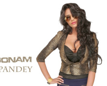 Das Poonam Pandey Wallpaper 220x176