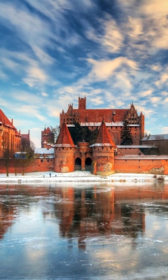 Fondo de pantalla Malbork Castle - Poland 240x400