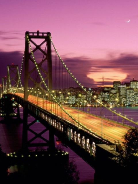 Das San Francisco Bridge California Wallpaper 480x640