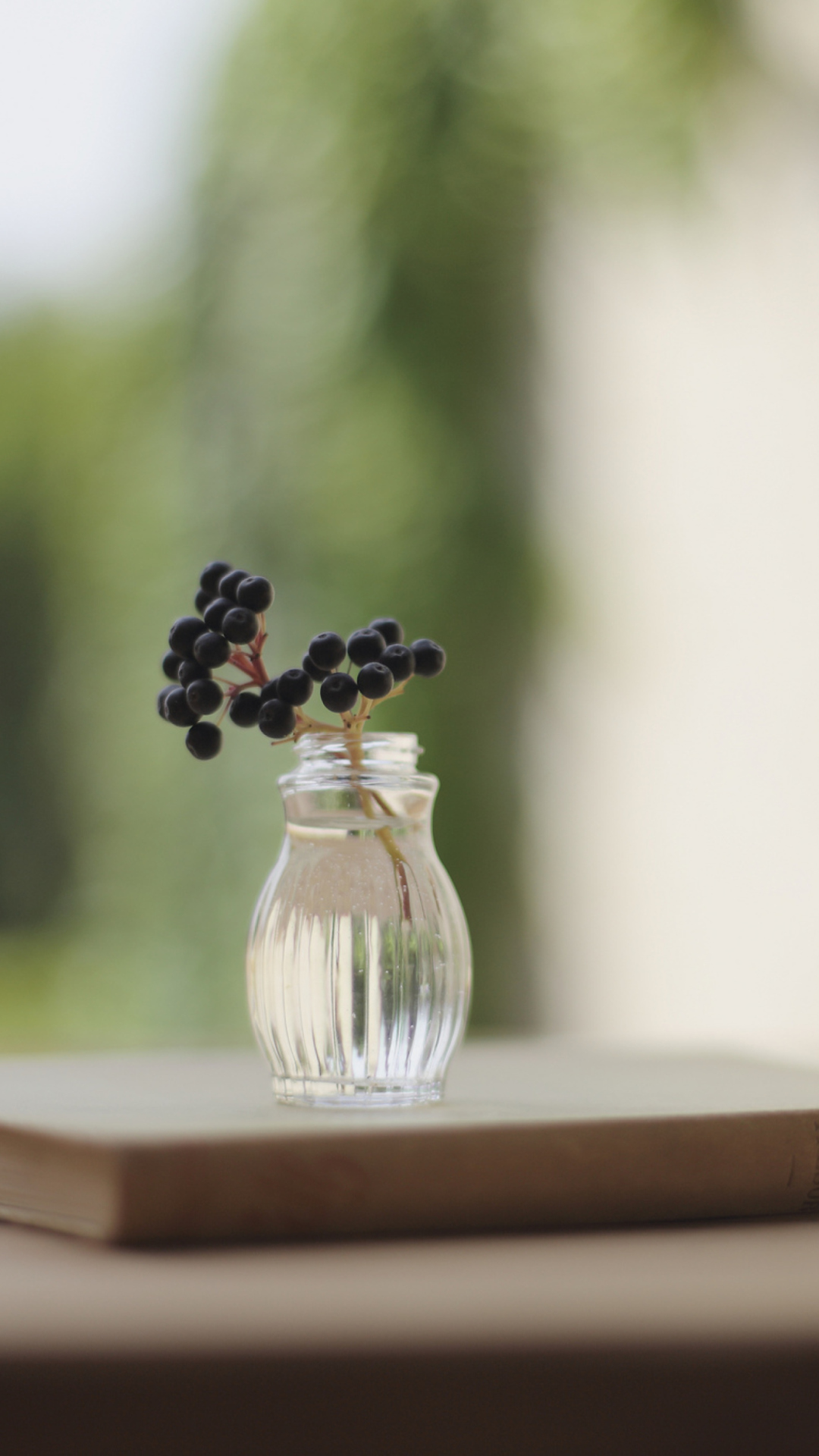Little Vase And Berry Branch screenshot #1 1080x1920