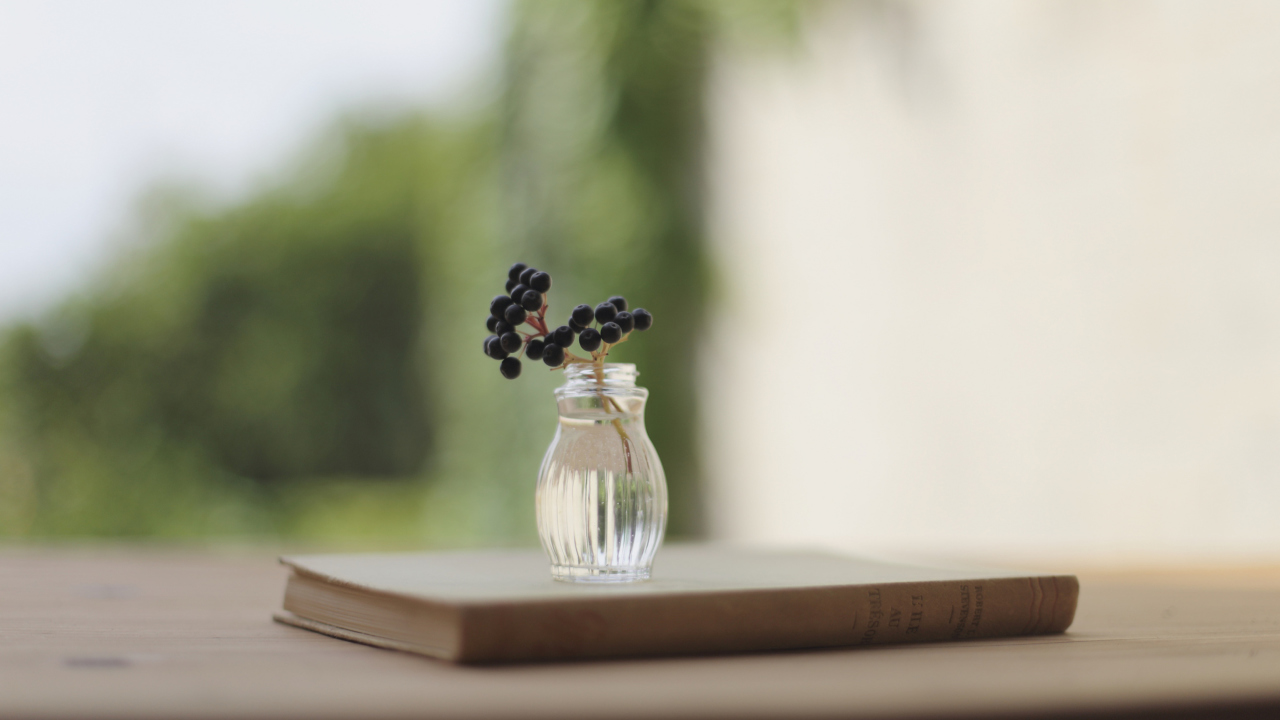 Little Vase And Berry Branch wallpaper 1280x720