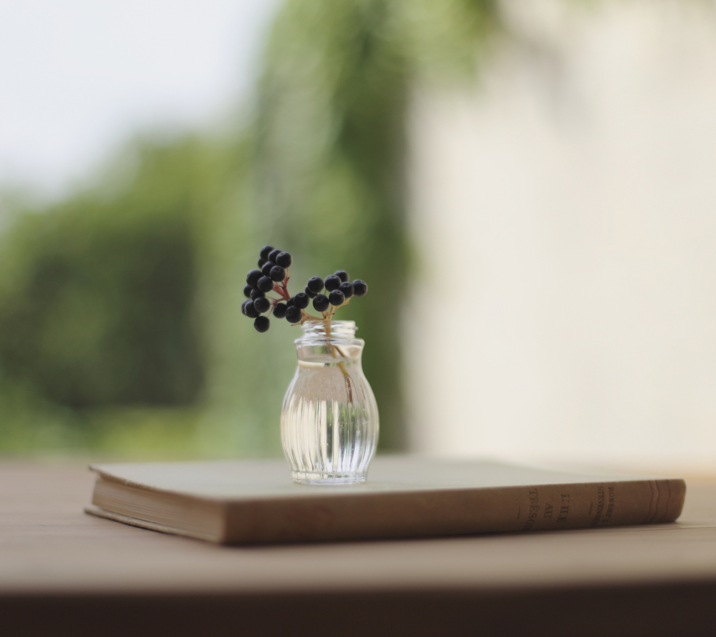 Little Vase And Berry Branch wallpaper 1440x1280