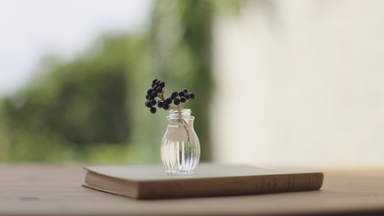 Das Little Vase And Berry Branch Wallpaper 1600x900