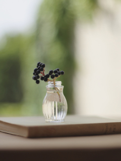 Little Vase And Berry Branch screenshot #1 240x320