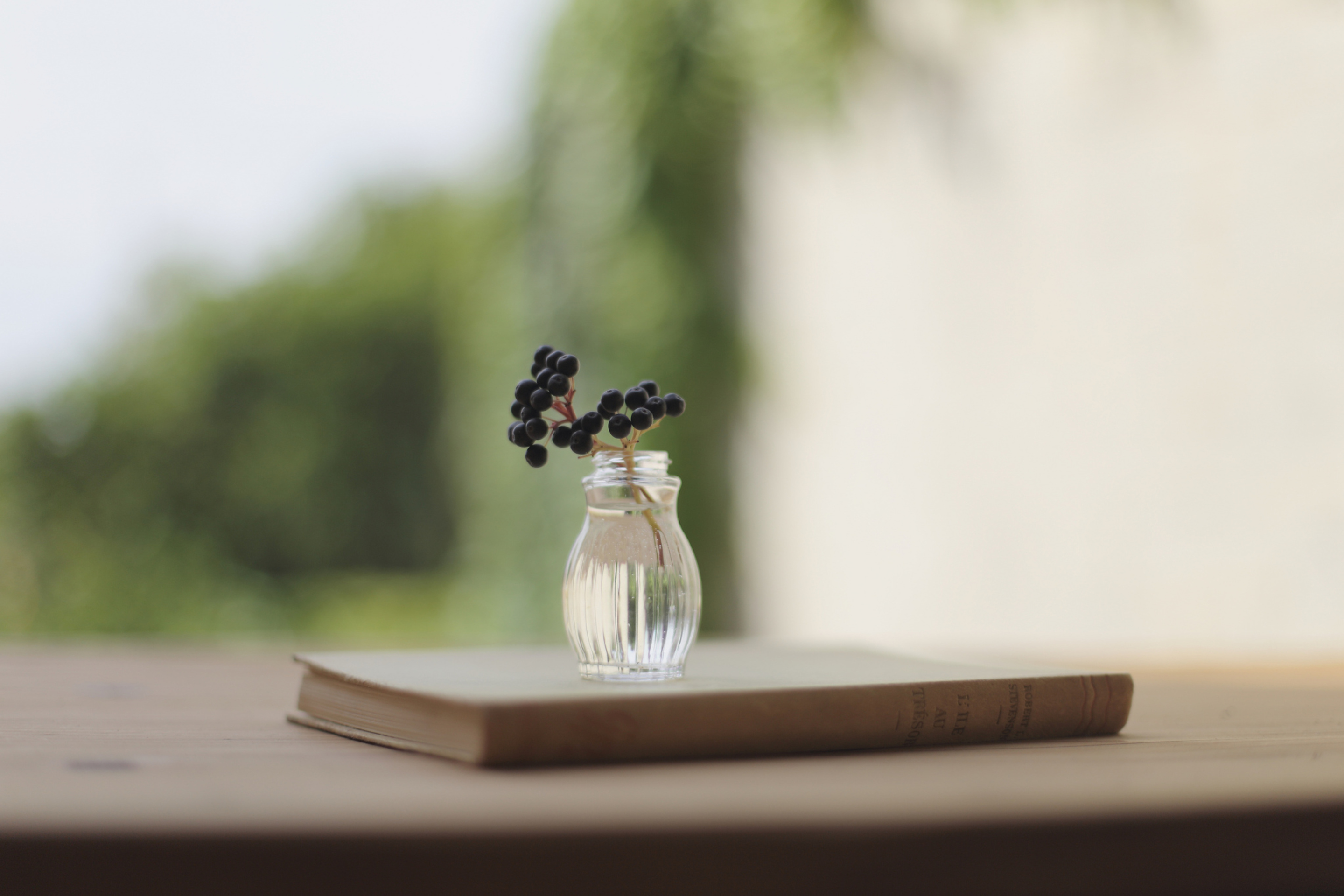 Little Vase And Berry Branch screenshot #1 2880x1920