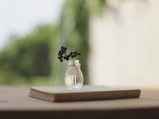Little Vase And Berry Branch wallpaper 320x240