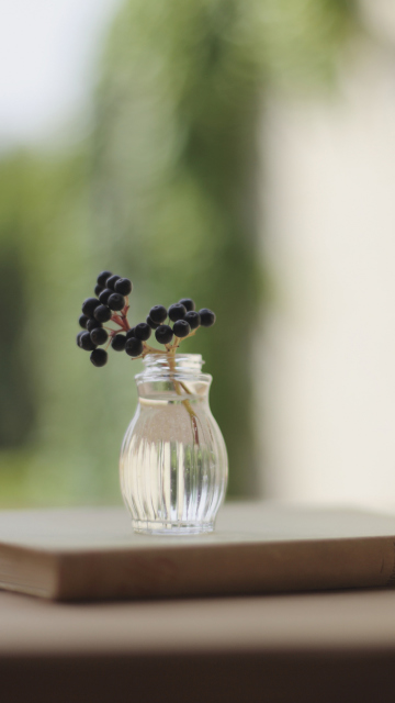 Little Vase And Berry Branch wallpaper 360x640