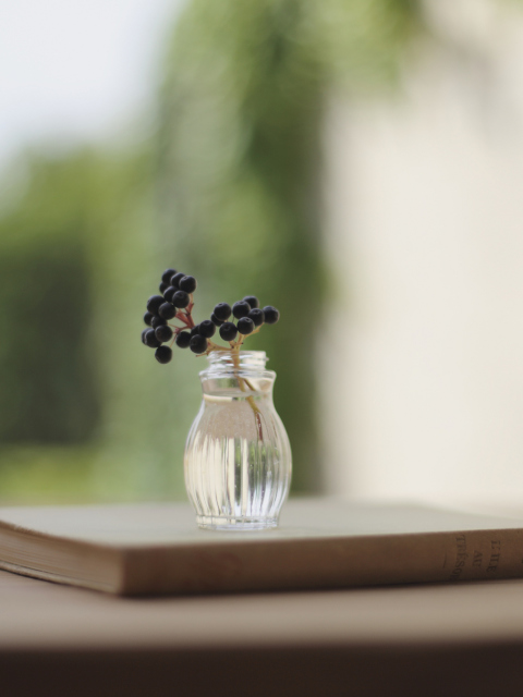 Little Vase And Berry Branch wallpaper 480x640