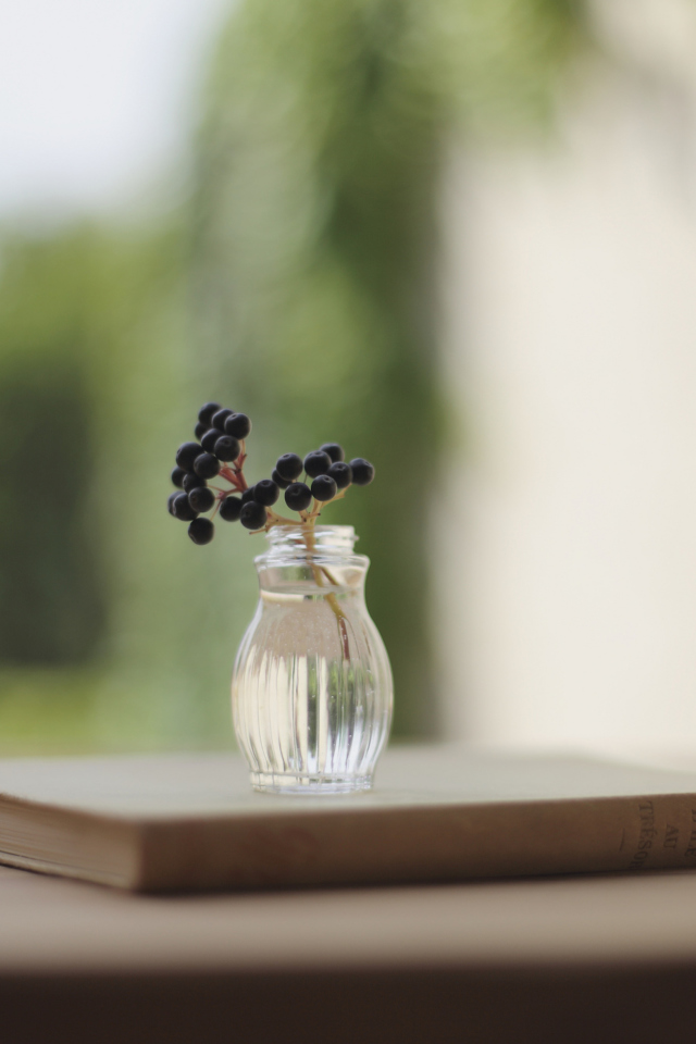 Little Vase And Berry Branch screenshot #1 640x960