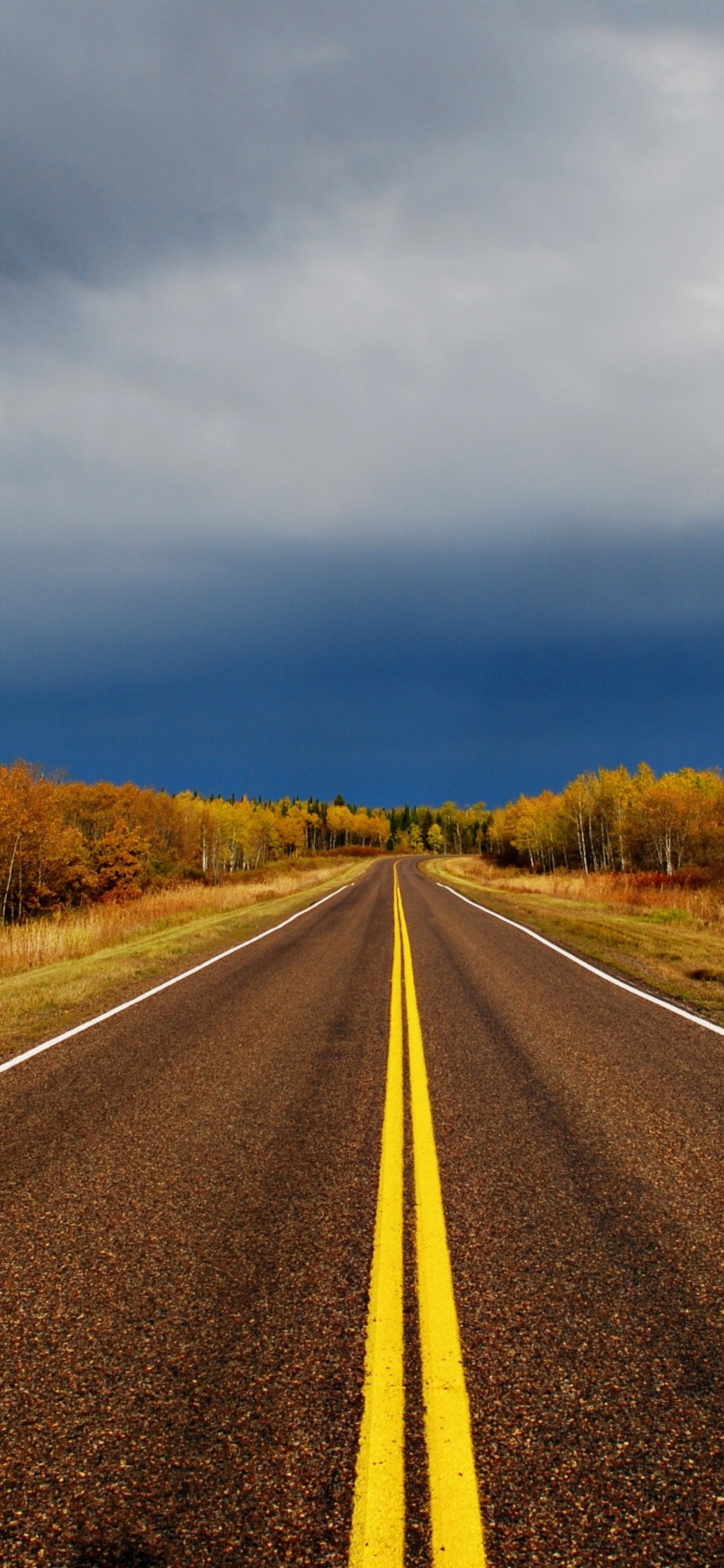 Screenshot №1 pro téma Autumn Road 1170x2532