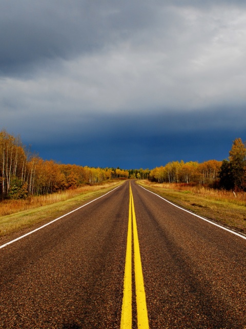 Обои Autumn Road 480x640