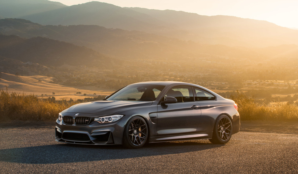 BMW 430i Coupe screenshot #1 1024x600