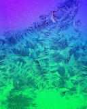 Iced Window wallpaper 128x160