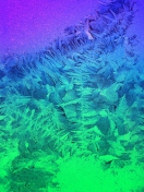Das Iced Window Wallpaper 132x176