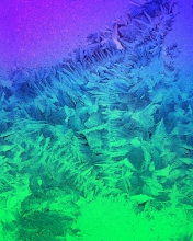 Das Iced Window Wallpaper 176x220