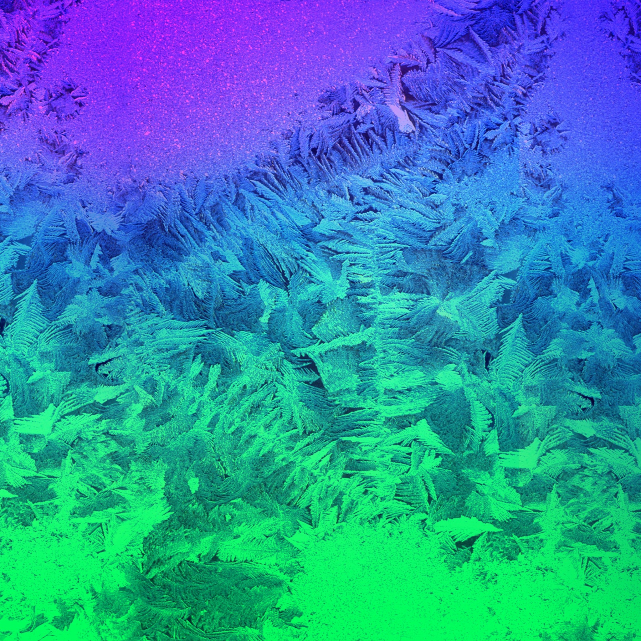 Iced Window wallpaper 2048x2048