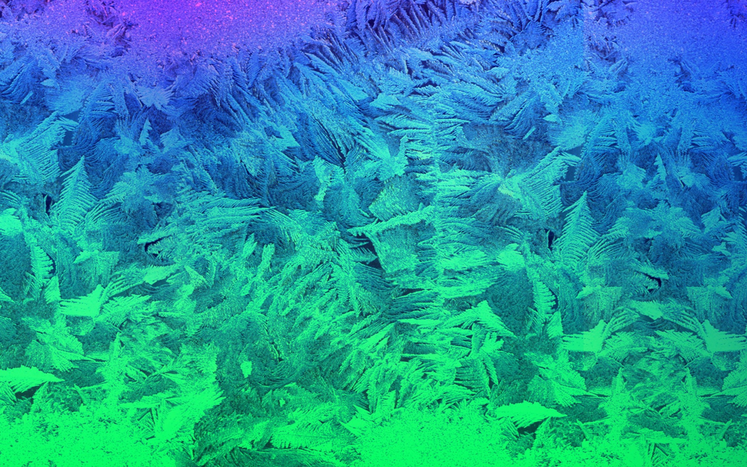 Das Iced Window Wallpaper 2560x1600