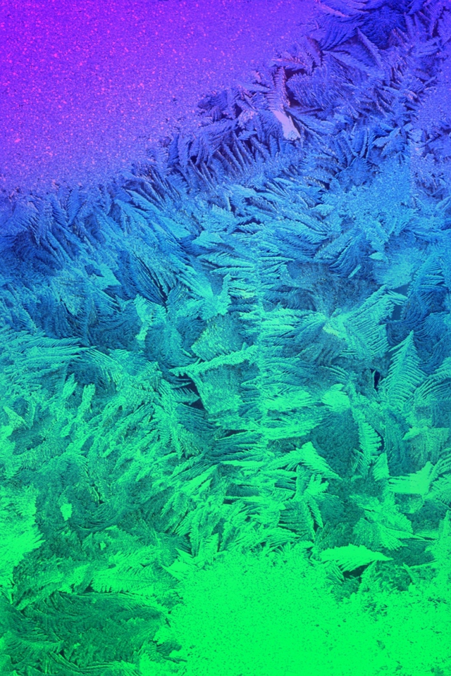 Das Iced Window Wallpaper 640x960