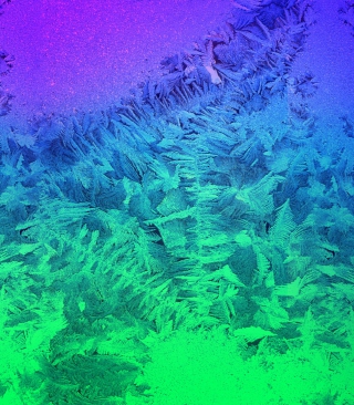 Kostenloses Iced Window Wallpaper für Samsung Heat