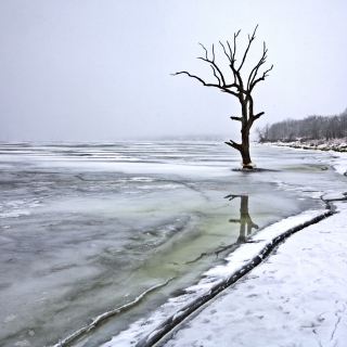 Winter - Obrázkek zdarma pro Nokia 6230i