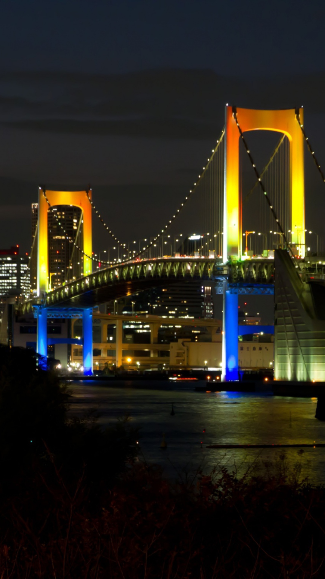 Fondo de pantalla Tokyo Rainbow Bridge 1080x1920