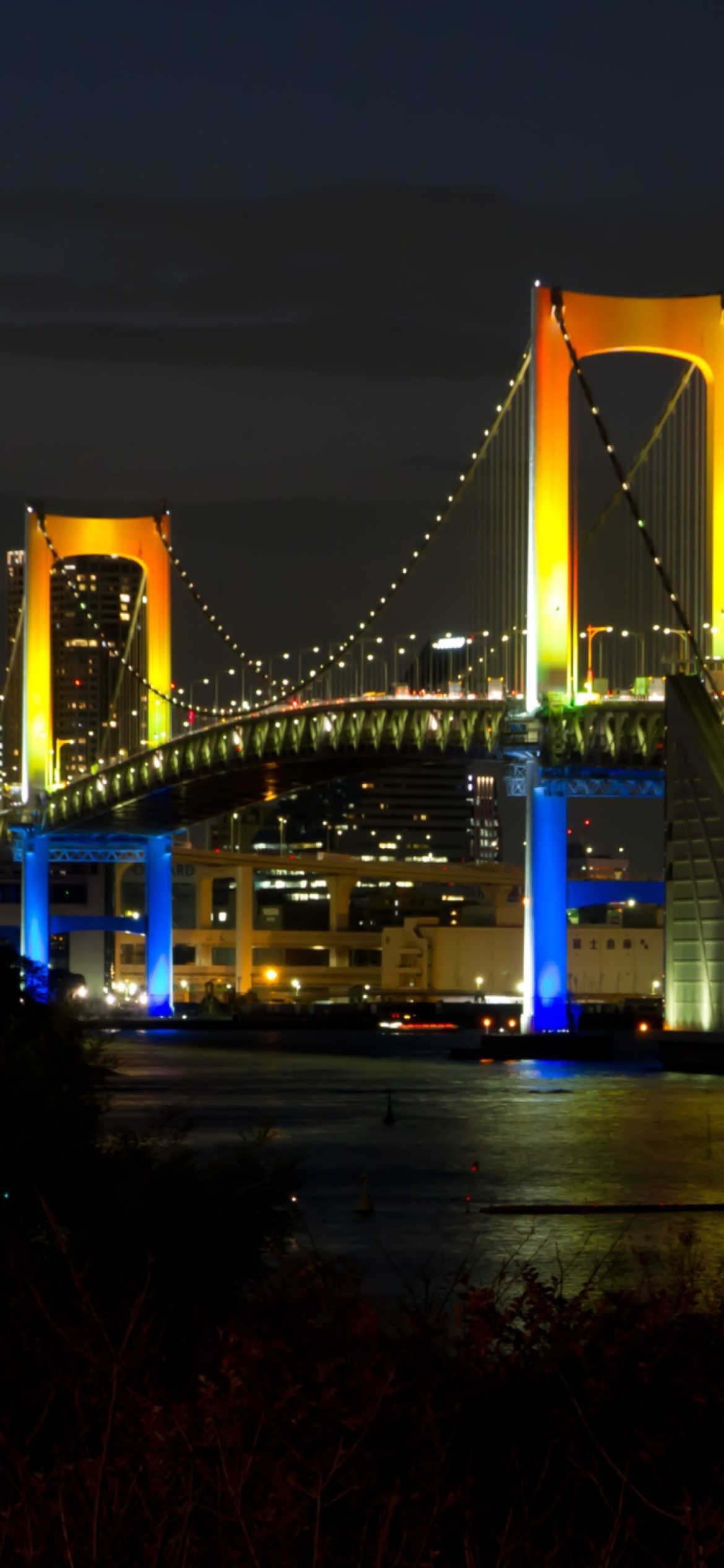 Обои Tokyo Rainbow Bridge 1170x2532
