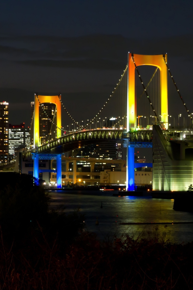Fondo de pantalla Tokyo Rainbow Bridge 640x960